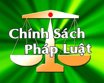 Tư vấn